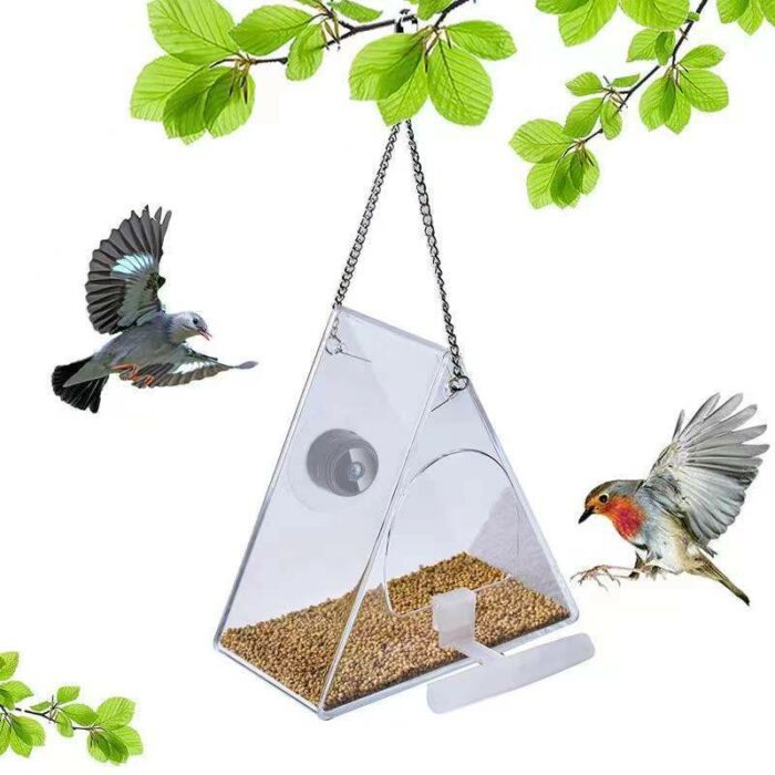 Smart Bird Feeder with Camera 1