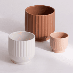 Plant clay vases 1