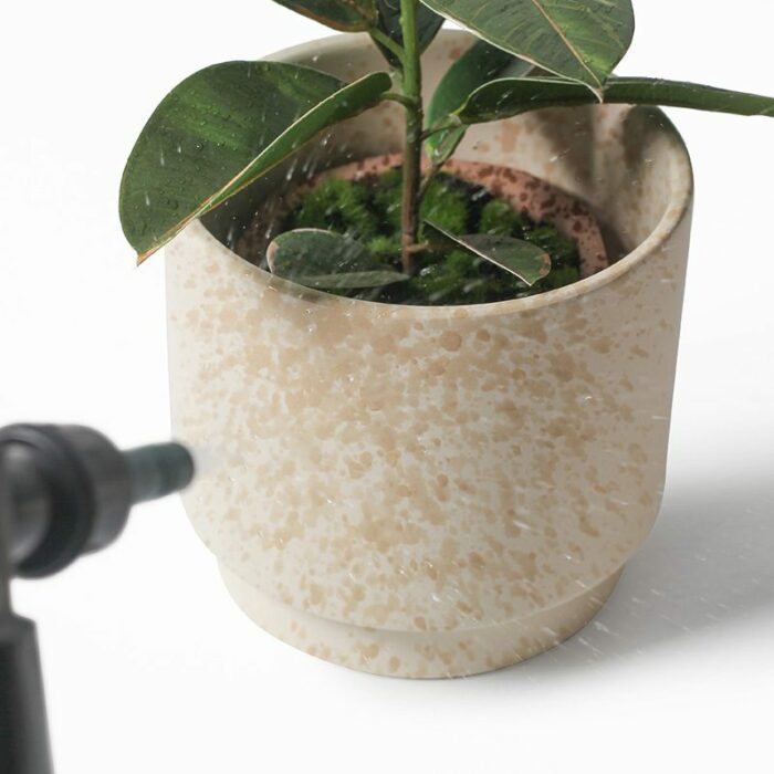 succulent plant pots (8)