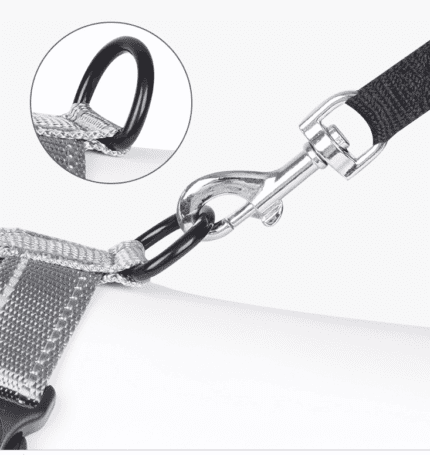 Pet Traction Rope 4