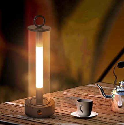 Portable Outdoor Lamp 2
